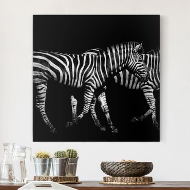 Print on canvas - Zebra In The Dark