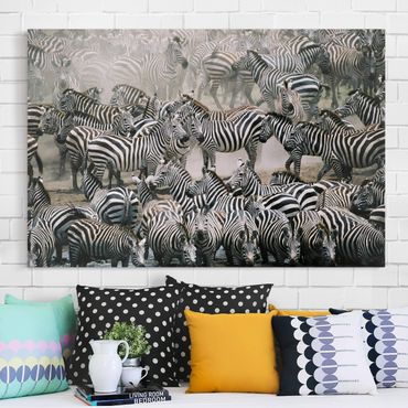 Print on canvas - Zebra Herd