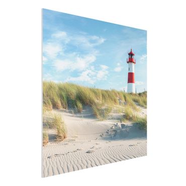 Print on forex - Lighthouse At The North Sea - Square 1:1