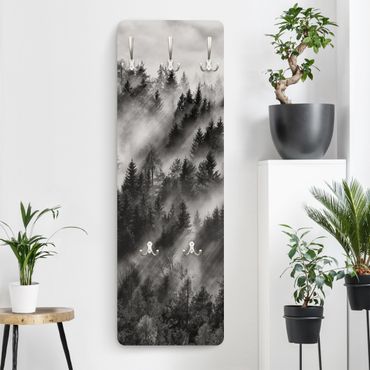Coat rack modern - Light Beams In The Coniferous Forest
