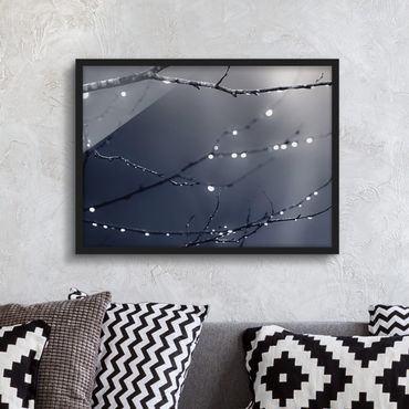 Framed poster - Drops Of Light On A Branch Of A Birch Tree