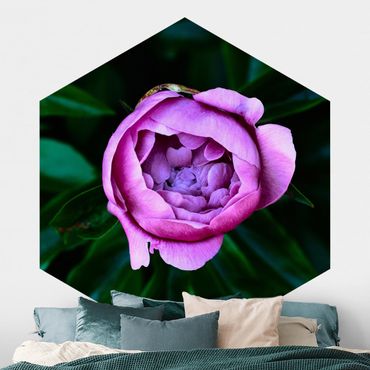 Self-adhesive hexagonal pattern wallpaper - Purple Peonies Blossoms In Front Of Leaves