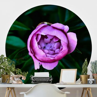 Self-adhesive round wallpaper kitchen - Purple Peonies Blossoms In Front Of Leaves