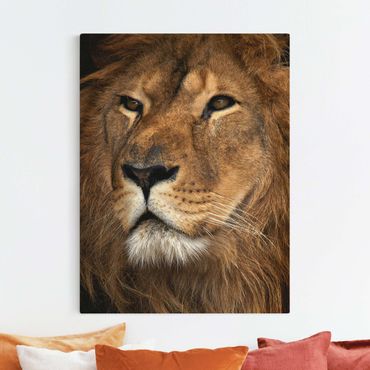 Natural canvas print - A Lion's Gaze - Portrait format 3:4