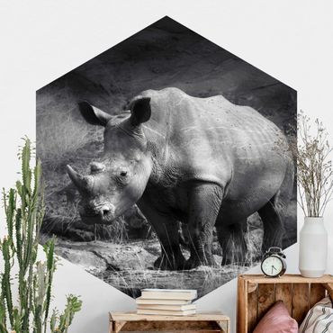 Self-adhesive hexagonal pattern wallpaper - Lonesome Rhinoceros