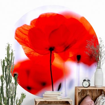 Self-adhesive round wallpaper - Magic Poppies