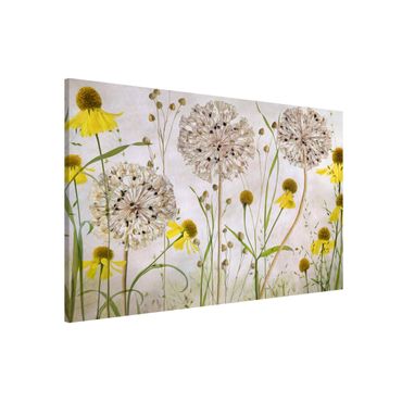 Magnetic memo board - Allium And Helenium Illustration