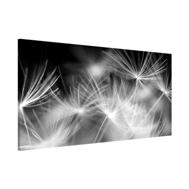 Magnetic memo board - Moving Dandelions Close Up On Black Background