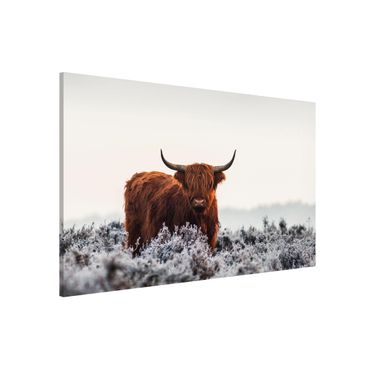 Magnetic memo board - Bison In The Highlands