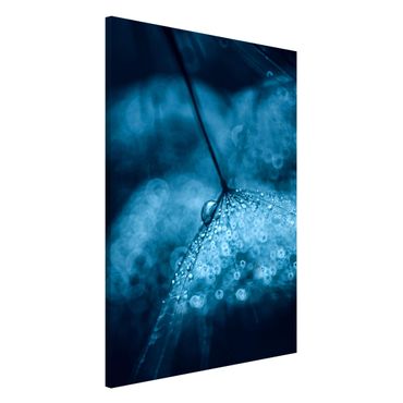 Magnetic memo board - Blue Dandelion In The Rain