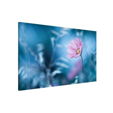 Magnetic memo board - Bloom In Pastel