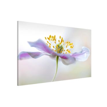 Magnetic memo board - Windflower In White