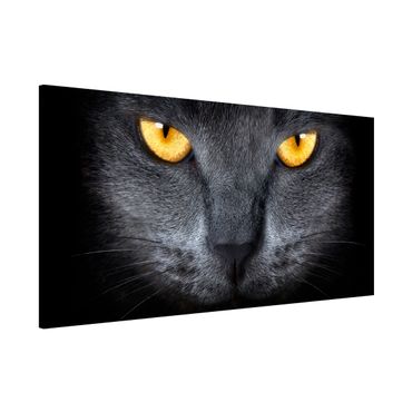 Magnetic memo board - Cat's Gaze