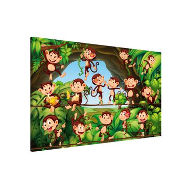 Magnetic memo board - Jungle Monkeys