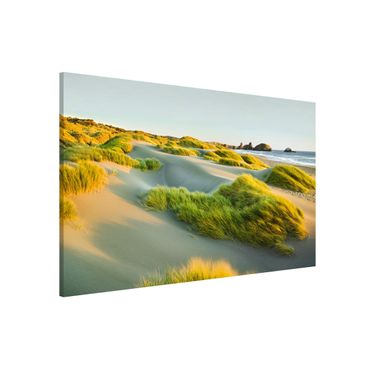 Magnetic memo board - Dunes And Grasses At The Sea