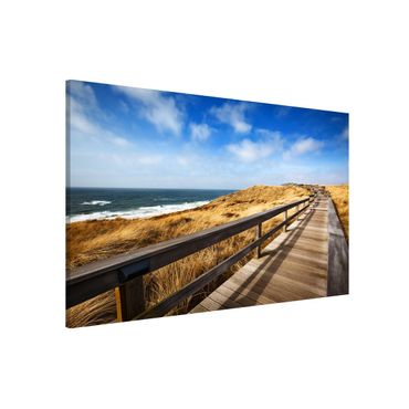 Magnetic memo board - Path between dunes at the North Sea on Sylt