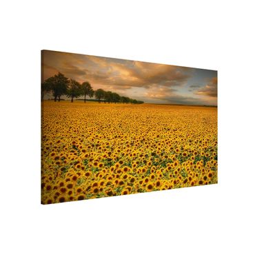 Magnettafel - Feld mit Sonnenblumen - Memoboard Quer