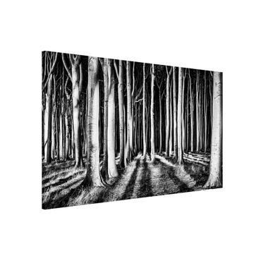 Magnetic memo board - Spooky Forest
