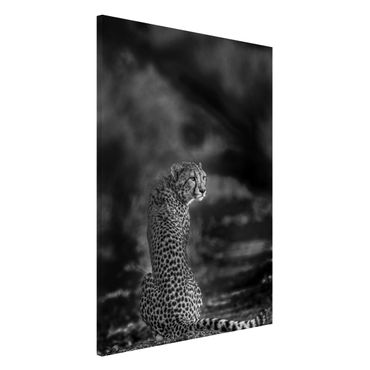 Magnetic memo board - Cheetah In The Wildness