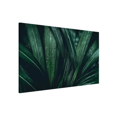 Magnetic memo board - Green Palm Leaves