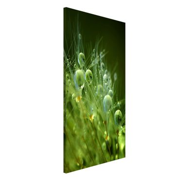 Magnetic memo board - Green Seeds In The Rain