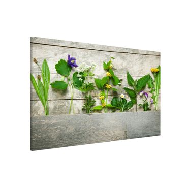 Magnetic memo board - Medicinal and Meadow Herbs