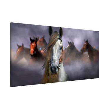 Magnetic memo board - Horses in the Dust
