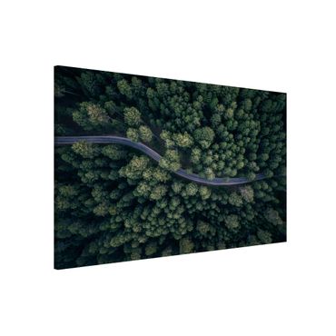 Magnetic memo board - Aerial View - Forest Road From The Top