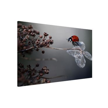Magnetic memo board - Ladybird On Hydrangea