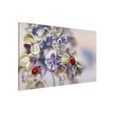 Magnetic memo board - Ladybird In The Garden