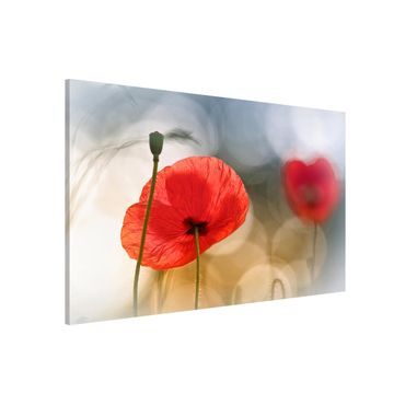 Magnetic memo board - Poppies In The Morning