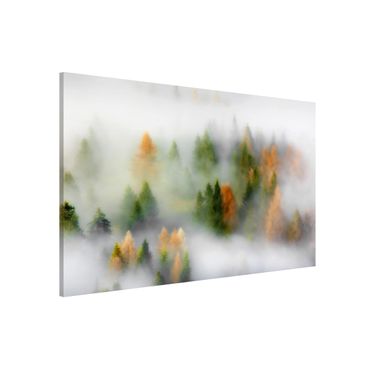 Magnetic memo board - Cloud Forest In Autumn