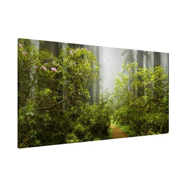 Magnetic memo board - Misty Forest Path