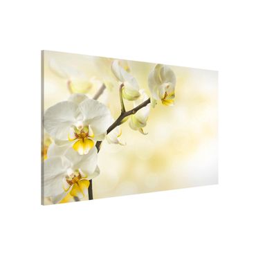 Magnetic memo board - Orchid Twig