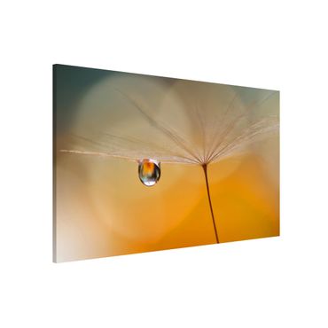 Magnetic memo board - Dandelion In Orange
