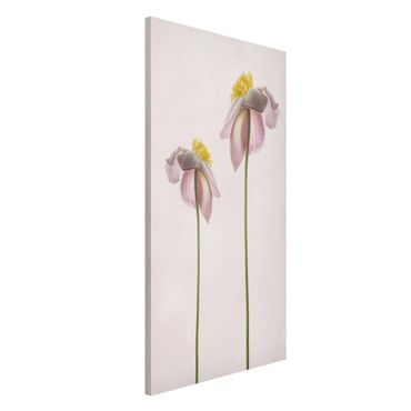 Magnetic memo board - Pink Anemone Blossoms