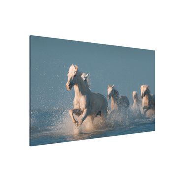 Magnetic memo board - Herd Of White Horses