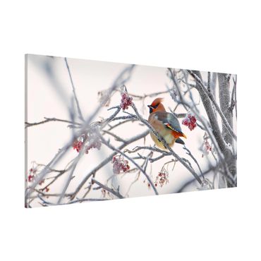 Magnetic memo board - Waxwing on a Tree