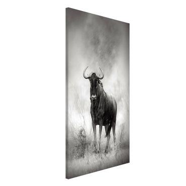 Magnetic memo board - Staring Wildebeest