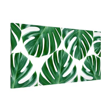 Magnetic memo board - Tropical Green Leaves Monstera