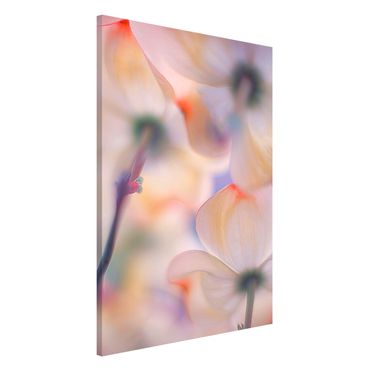 Magnetic memo board - Below Flowers
