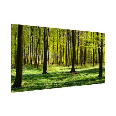 Magnetic memo board - Forest Meadow