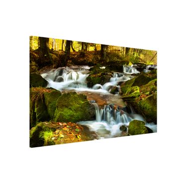 Magnetic memo board - Waterfall Autumnal Forest