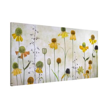 Magnetic memo board - Delicate Helenium Flowers