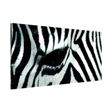 Magnetic memo board - Zebra Crossing