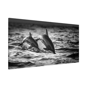 Magnetic memo board - Two Jumping Dolphins