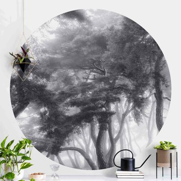 Self-adhesive round wallpaper - Majestic Trees In Black And White
