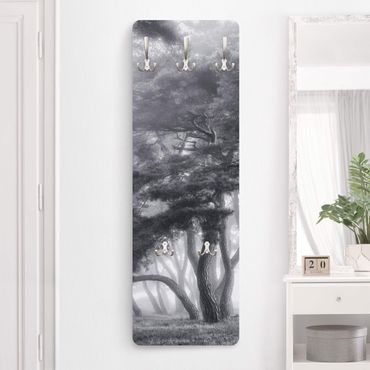 Coat rack modern - Majestic Trees In Black And White
