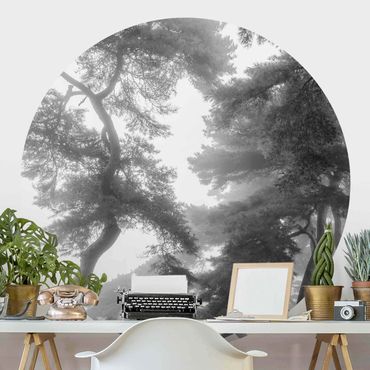 Self-adhesive round wallpaper - Majestic Forest In Black And White