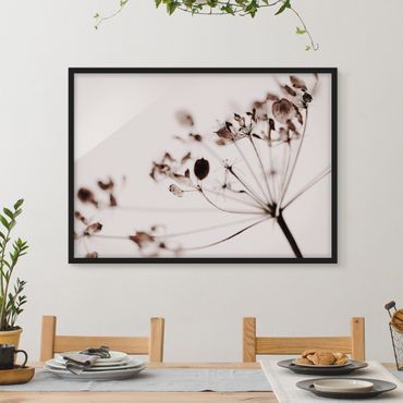 Framed poster - Macro Image Dried Flowers In Shadow